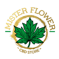 Logo Mister Flower CBD